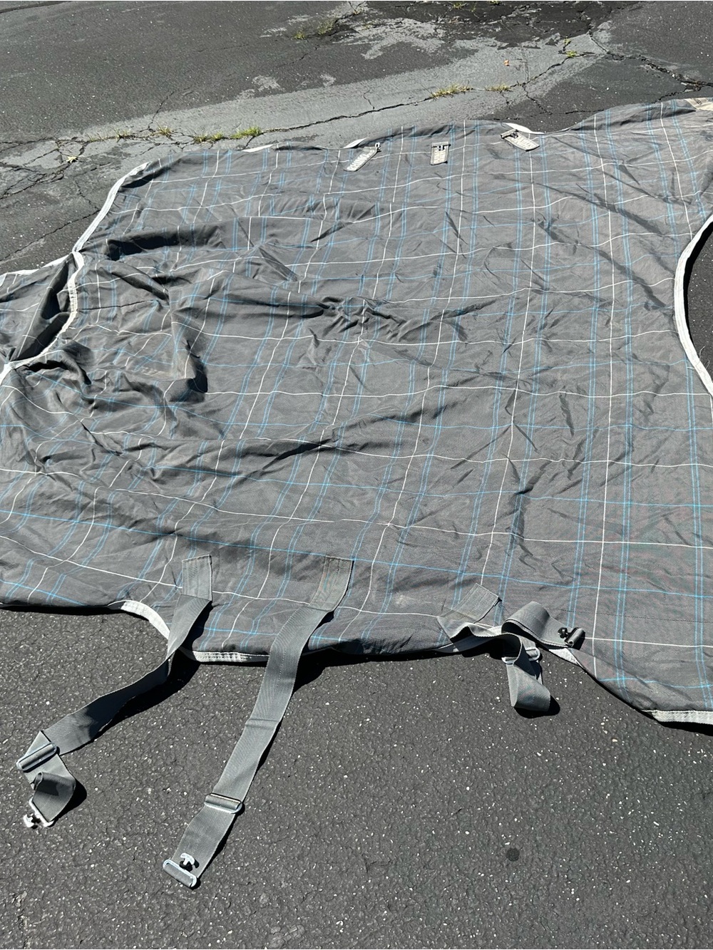 Rhino brand horse blanket size 78